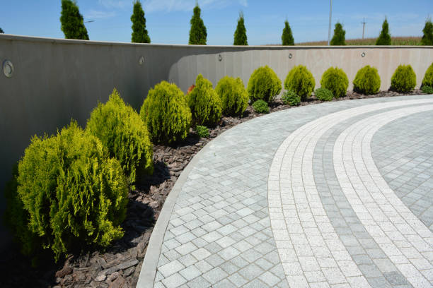 Best Local Driveway Pavers  in Fruitport, MI